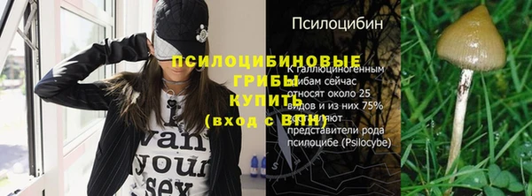 винт Тихвин