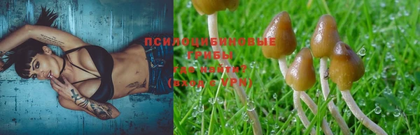 винт Тихвин